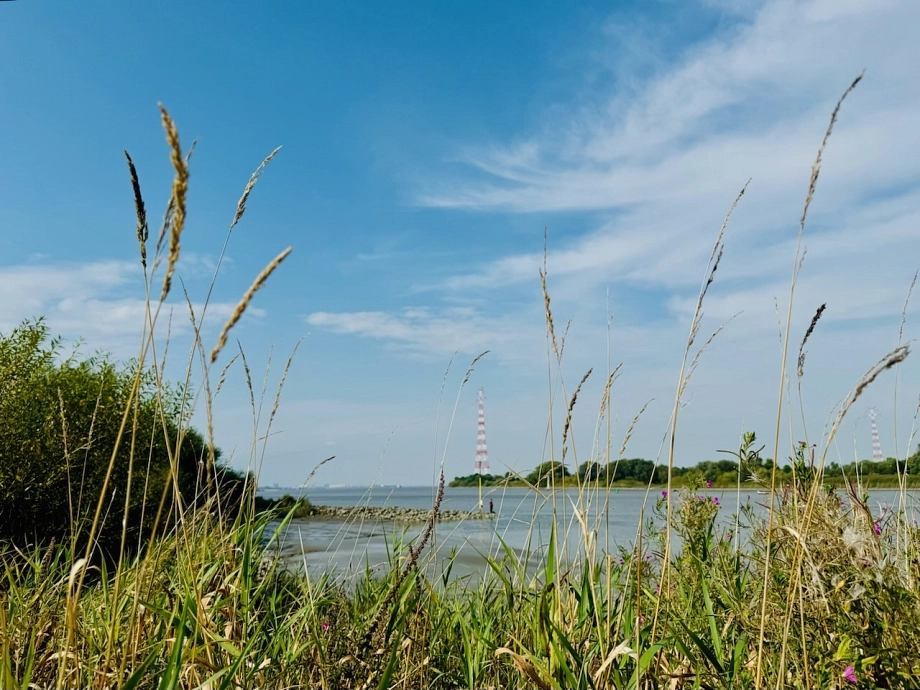 © Elbinsel Lühesand Natur mit Mast © Elbinsel Lühesand Natur mit Mast © © Elbinsel Lühesand