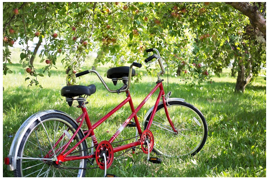 © Free Stock Photos Tandem bike © Free Stock Photos Tandem bike © © Free Stock Photos Tandem bike