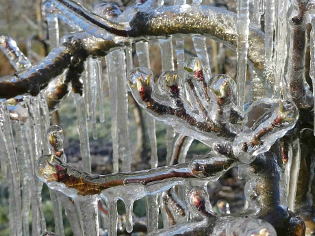 © Obsthof Bey Frostschutzberegnung&nbsp;&copy;&nbsp;© Obsthof Bey Frostschutzberegnung