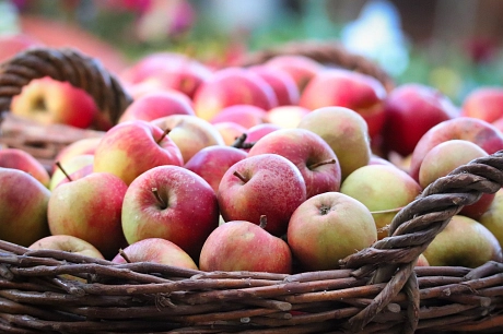 © Pixabay Äpfel im Korb Pixabay Äpfel im Korb © Pixabay