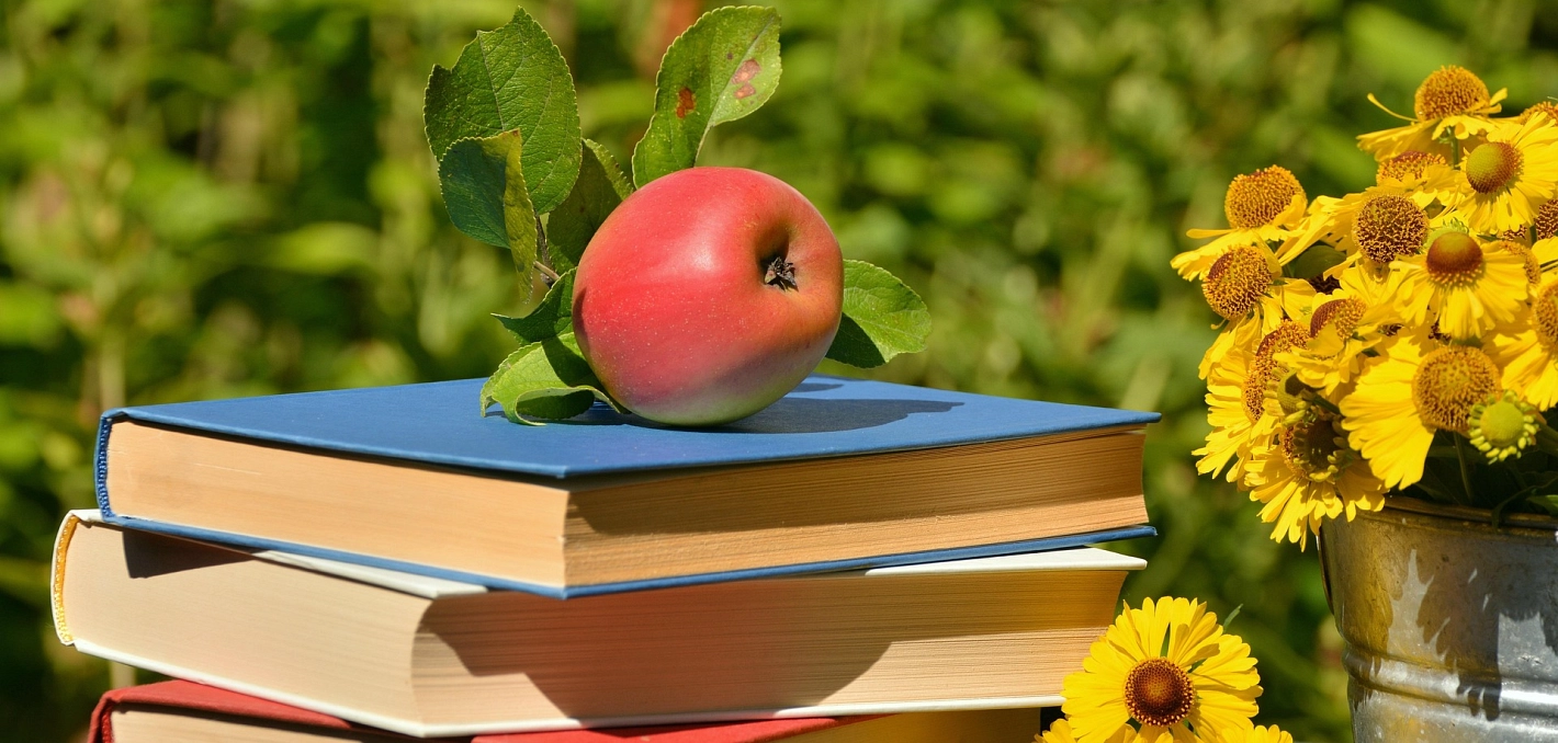 © Pixabay Apfel auf einem Bücherstapel