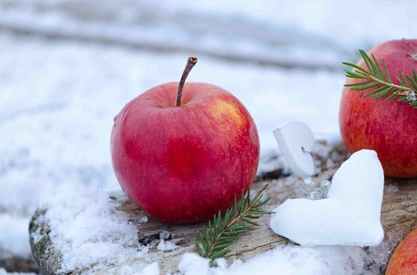 @Pixabay Apfel im Winter&nbsp;&copy;&nbsp;Pixabay