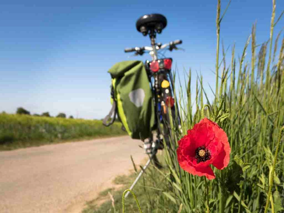 © Pixabay Fahrrad mit Mohnblume © Pixabay Fahrrad mit Mohnblume © Pixabay