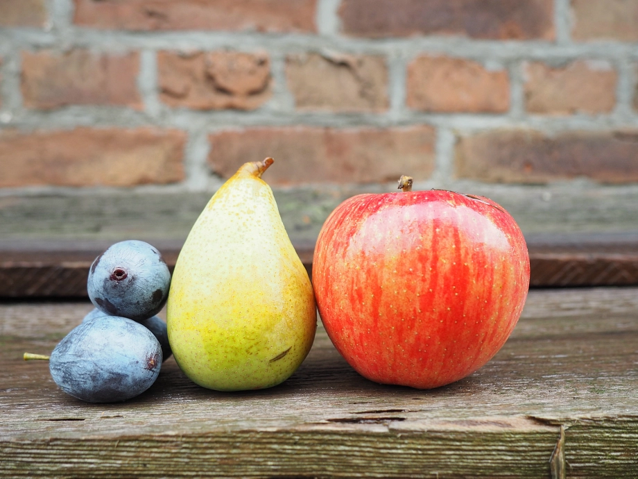 Free Stock Photos apple-993366.jpg Free Stock Photos apple © Free Stock Photos