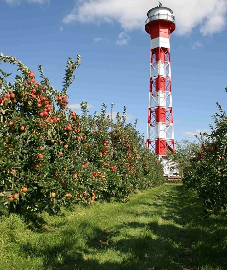 Tourist Info Altes Land